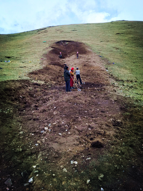 興海銅鑫綠色礦山植被恢復工作穩(wěn)步推進