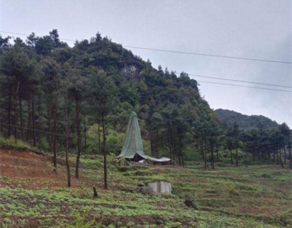 把脈“黔”鋅地，問診開良方